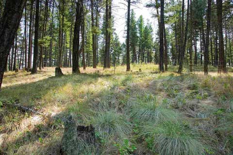 Tiny photo for 1243 Kienas Road, Kalispell, MT 59901 (MLS # 30075969)