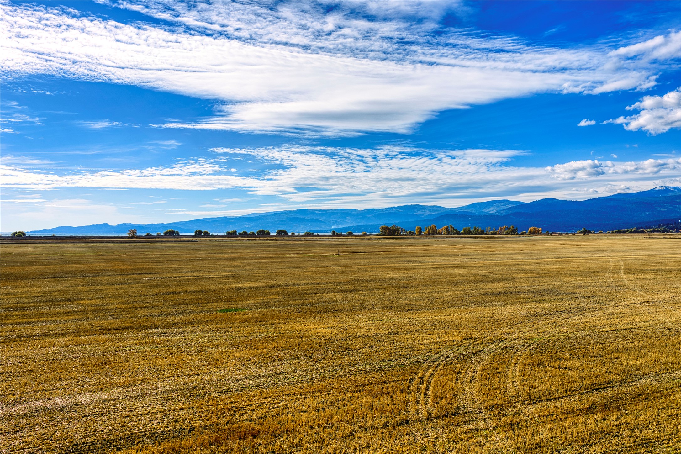 1164 MT Hwy 82