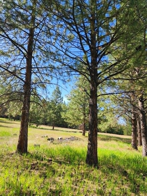 Tiny photo for NHN Stobie Lane, Hot Springs, MT 59845 (MLS # 30072982)