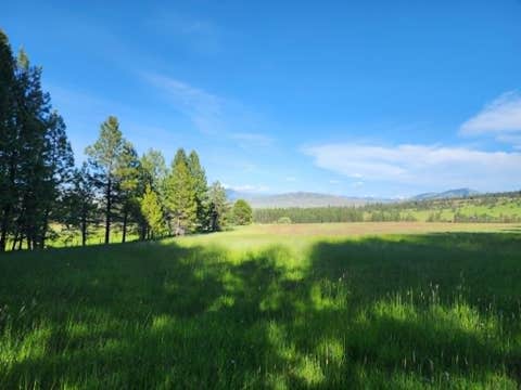 Tiny photo for NHN Stobie Lane, Hot Springs, MT 59845 (MLS # 30072982)