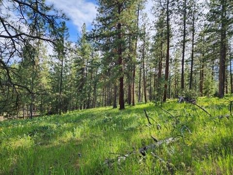 Tiny photo for NHN Stobie Lane, Hot Springs, MT 59845 (MLS # 30072982)