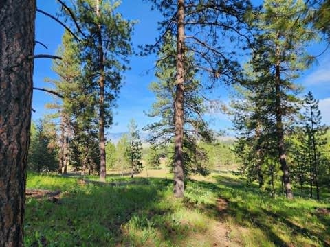 Tiny photo for NHN Stobie Lane, Hot Springs, MT 59845 (MLS # 30072982)