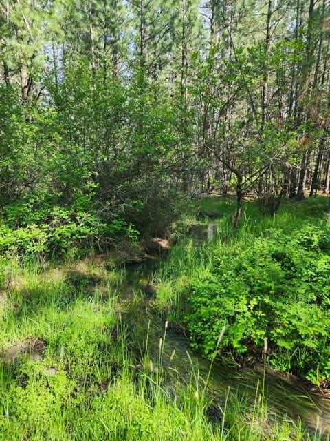 Tiny photo for NHN Stobie Lane, Hot Springs, MT 59845 (MLS # 30072982)