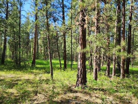 Tiny photo for NHN Stobie Lane, Hot Springs, MT 59845 (MLS # 30072982)