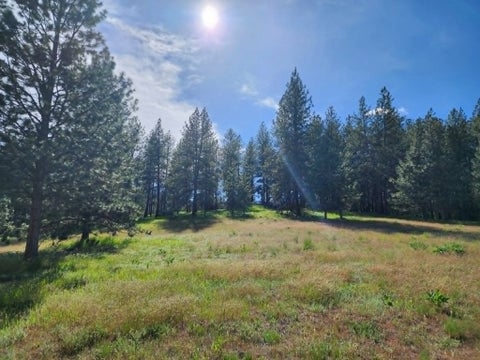 Tiny photo for NHN Stobie Lane, Hot Springs, MT 59845 (MLS # 30072982)