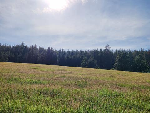 Tiny photo for NHN Stobie Lane, Hot Springs, MT 59845 (MLS # 30072982)