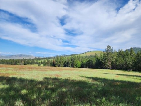Tiny photo for NHN Stobie Lane, Hot Springs, MT 59845 (MLS # 30072982)
