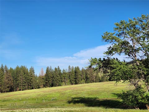 Tiny photo for NHN Stobie Lane, Hot Springs, MT 59845 (MLS # 30072982)
