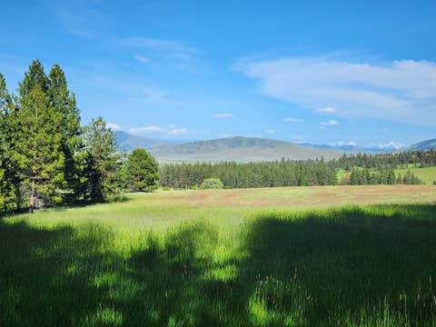 Tiny photo for NHN Stobie Lane, Hot Springs, MT 59845 (MLS # 30072982)