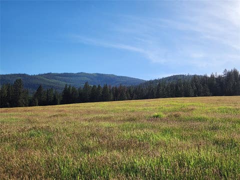 Tiny photo for NHN Stobie Lane, Hot Springs, MT 59845 (MLS # 30072982)