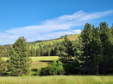 Tiny photo for NHN Stobie Lane, Hot Springs, MT 59845 (MLS # 30072982)