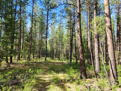 Tiny photo for NHN Stobie Lane, Hot Springs, MT 59845 (MLS # 30072982)