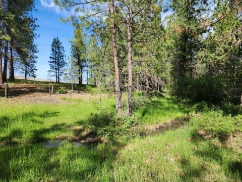 Tiny photo for NHN Stobie Lane, Hot Springs, MT 59845 (MLS # 30072982)