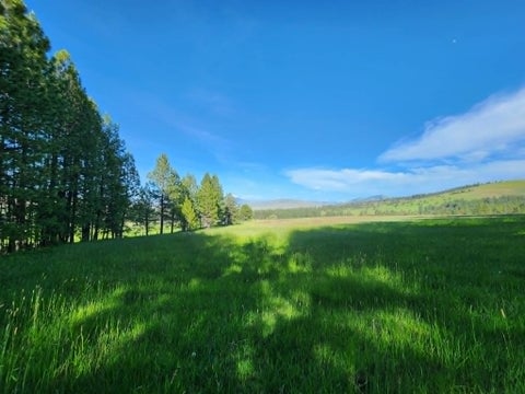 Tiny photo for NHN Stobie Lane, Hot Springs, MT 59845 (MLS # 30072982)