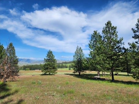 Tiny photo for NHN Stobie Lane, Hot Springs, MT 59845 (MLS # 30072982)
