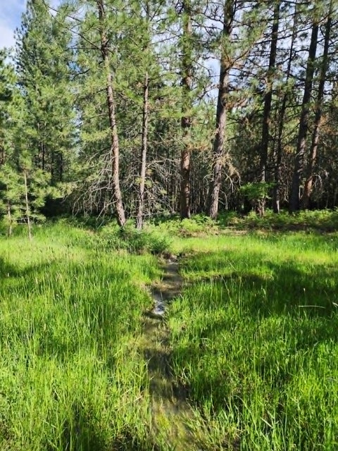 Tiny photo for NHN Stobie Lane, Hot Springs, MT 59845 (MLS # 30072982)