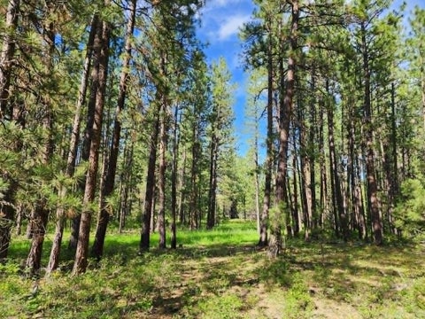 Tiny photo for NHN Stobie Lane, Hot Springs, MT 59845 (MLS # 30072982)