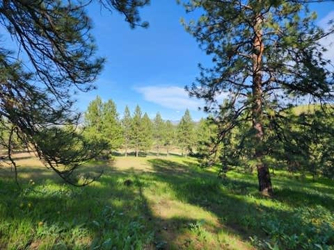 Tiny photo for NHN Stobie Lane, Hot Springs, MT 59845 (MLS # 30072982)