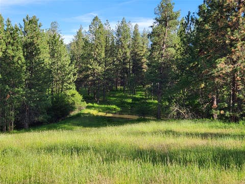 Tiny photo for NHN Stobie Lane, Hot Springs, MT 59845 (MLS # 30072982)