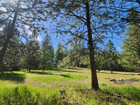 Tiny photo for NHN Stobie Lane, Hot Springs, MT 59845 (MLS # 30072982)