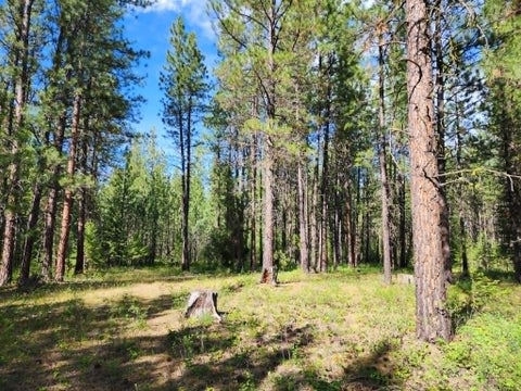 Tiny photo for NHN Stobie Lane, Hot Springs, MT 59845 (MLS # 30072982)