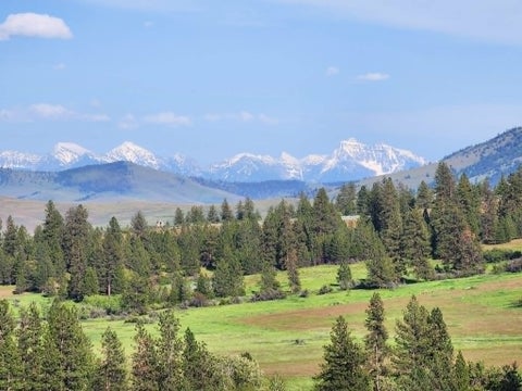 Photo of NHN Stobie Lane, Hot Springs, MT 59845 (MLS # 30072982)