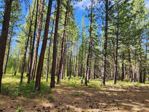 Tiny photo for NHN Stobie Lane, Hot Springs, MT 59845 (MLS # 30072982)