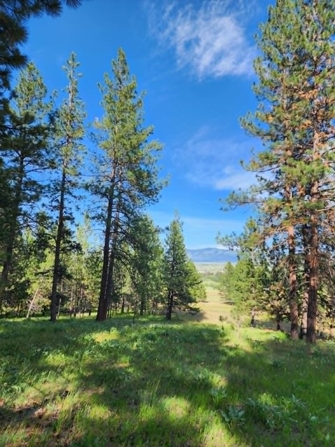 Tiny photo for NHN Stobie Lane, Hot Springs, MT 59845 (MLS # 30072982)