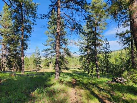 Tiny photo for NHN Stobie Lane, Hot Springs, MT 59845 (MLS # 30072982)