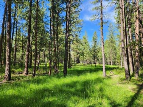 Tiny photo for NHN Stobie Lane, Hot Springs, MT 59845 (MLS # 30072982)