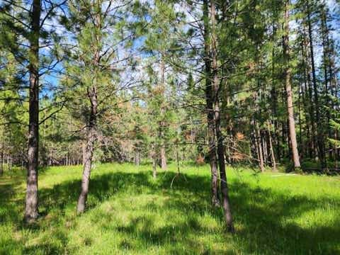 Tiny photo for NHN Stobie Lane, Hot Springs, MT 59845 (MLS # 30072982)