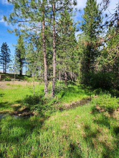 Tiny photo for NHN Stobie Lane, Hot Springs, MT 59845 (MLS # 30072982)