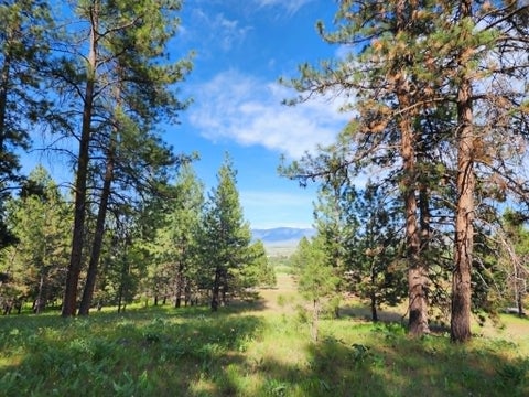 Tiny photo for NHN Stobie Lane, Hot Springs, MT 59845 (MLS # 30072982)