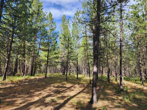 Tiny photo for NHN Stobie Lane, Hot Springs, MT 59845 (MLS # 30072982)