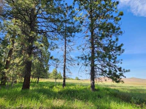 Tiny photo for NHN Stobie Lane, Hot Springs, MT 59845 (MLS # 30072982)