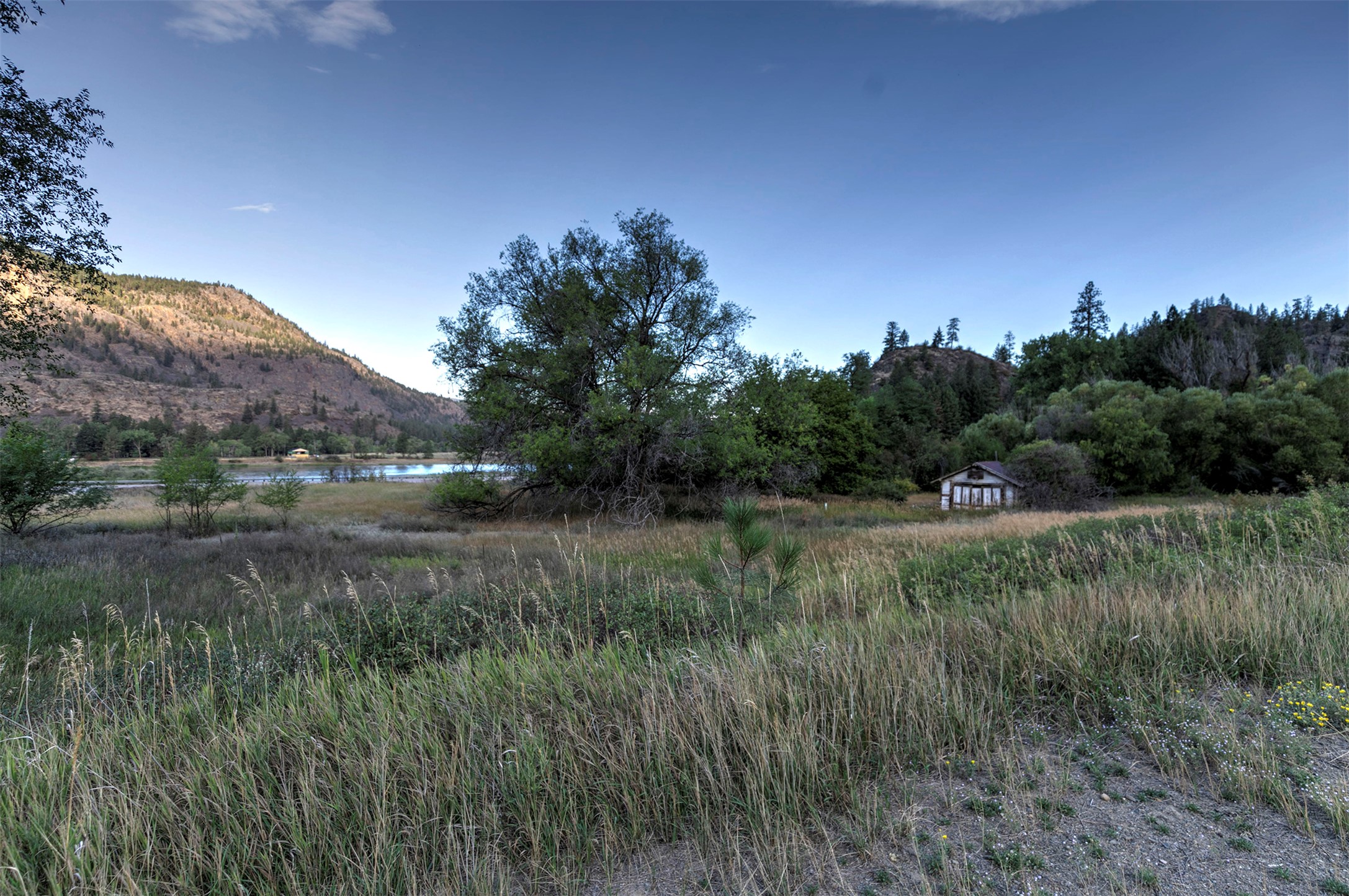 Plains, Montana 59859, United States, ,Land,Active,195941