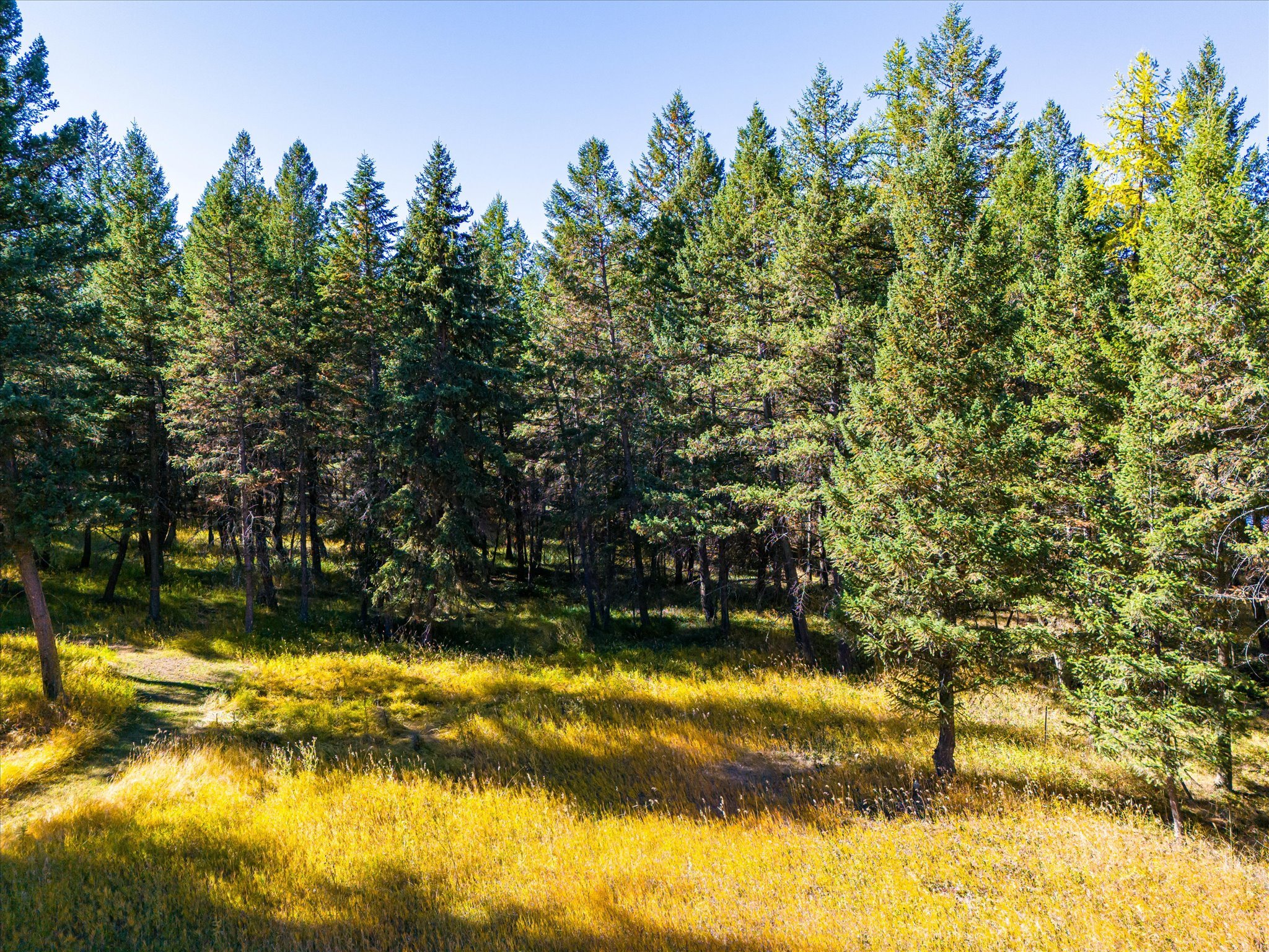 Kila, Montana 59920, United States, 3 Bedrooms Bedrooms, ,2 BathroomsBathrooms,Residential,Pending,39186