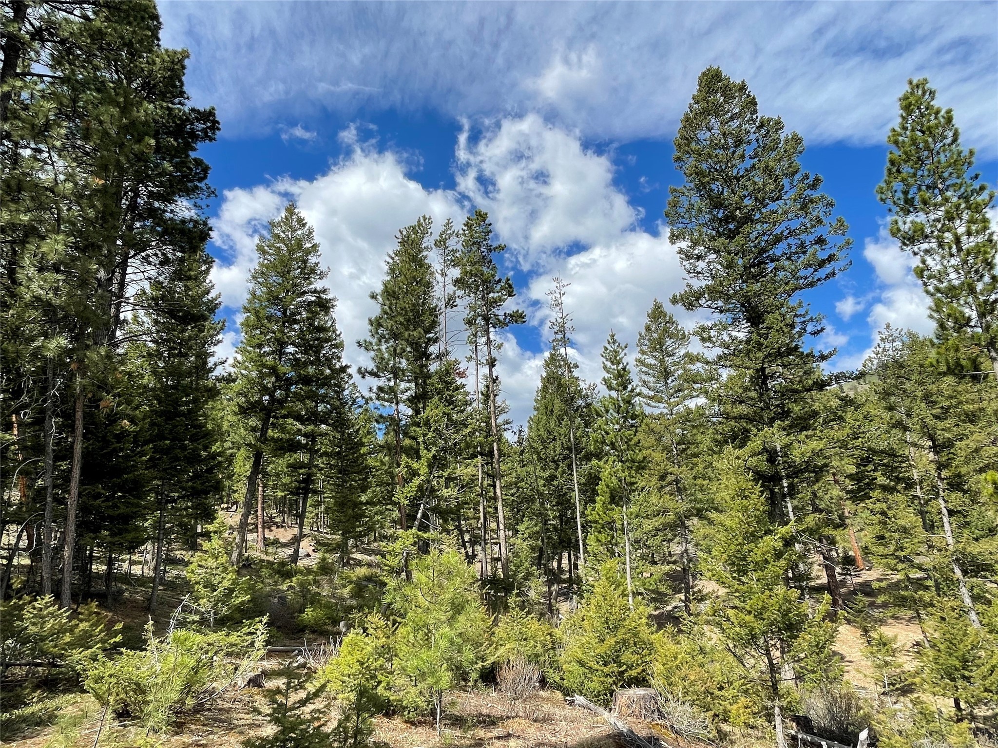 Helena, Montana 59601, United States, ,Land,Active,97214