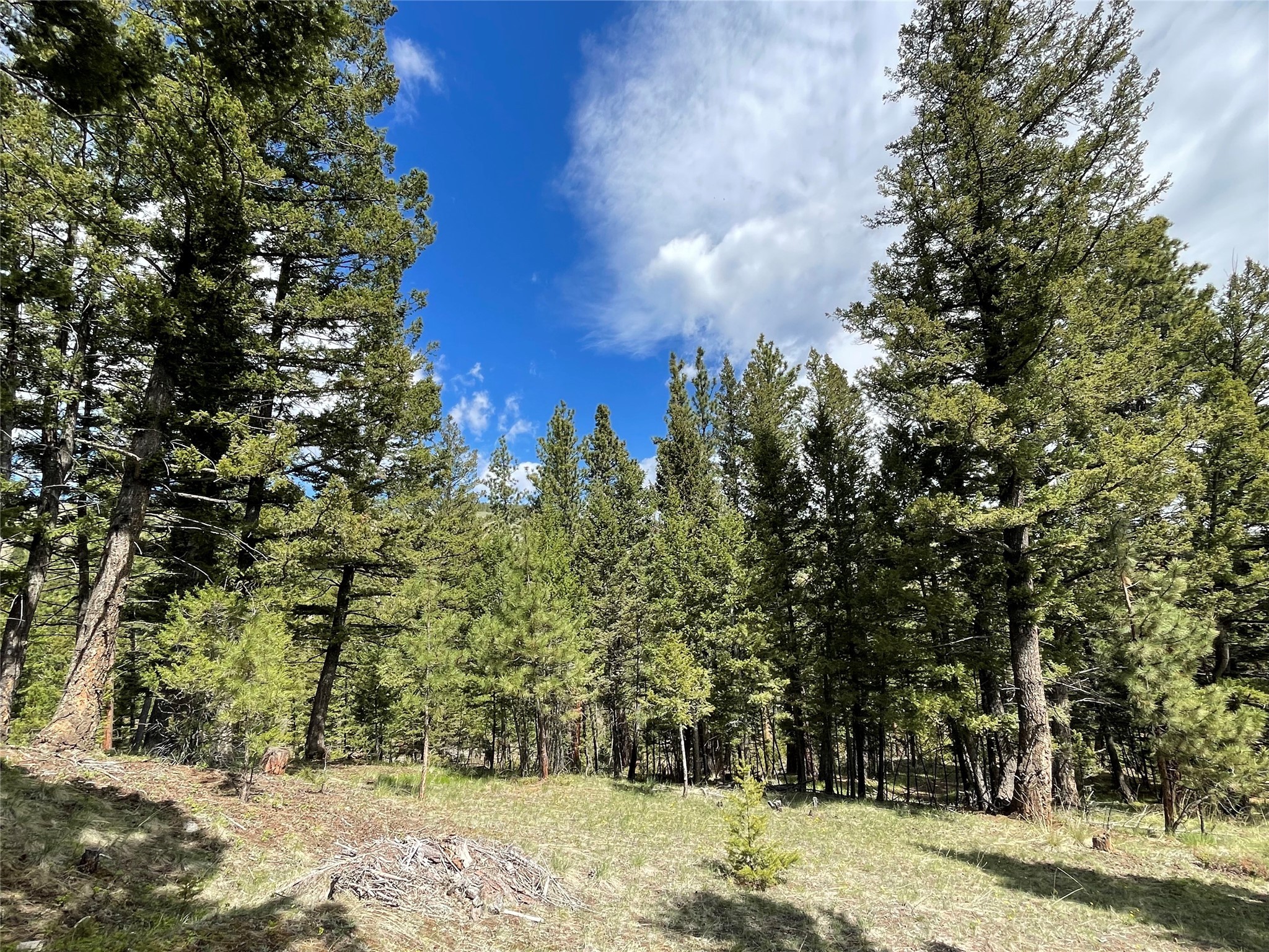 Helena, Montana 59601, United States, ,Land,Active,97214