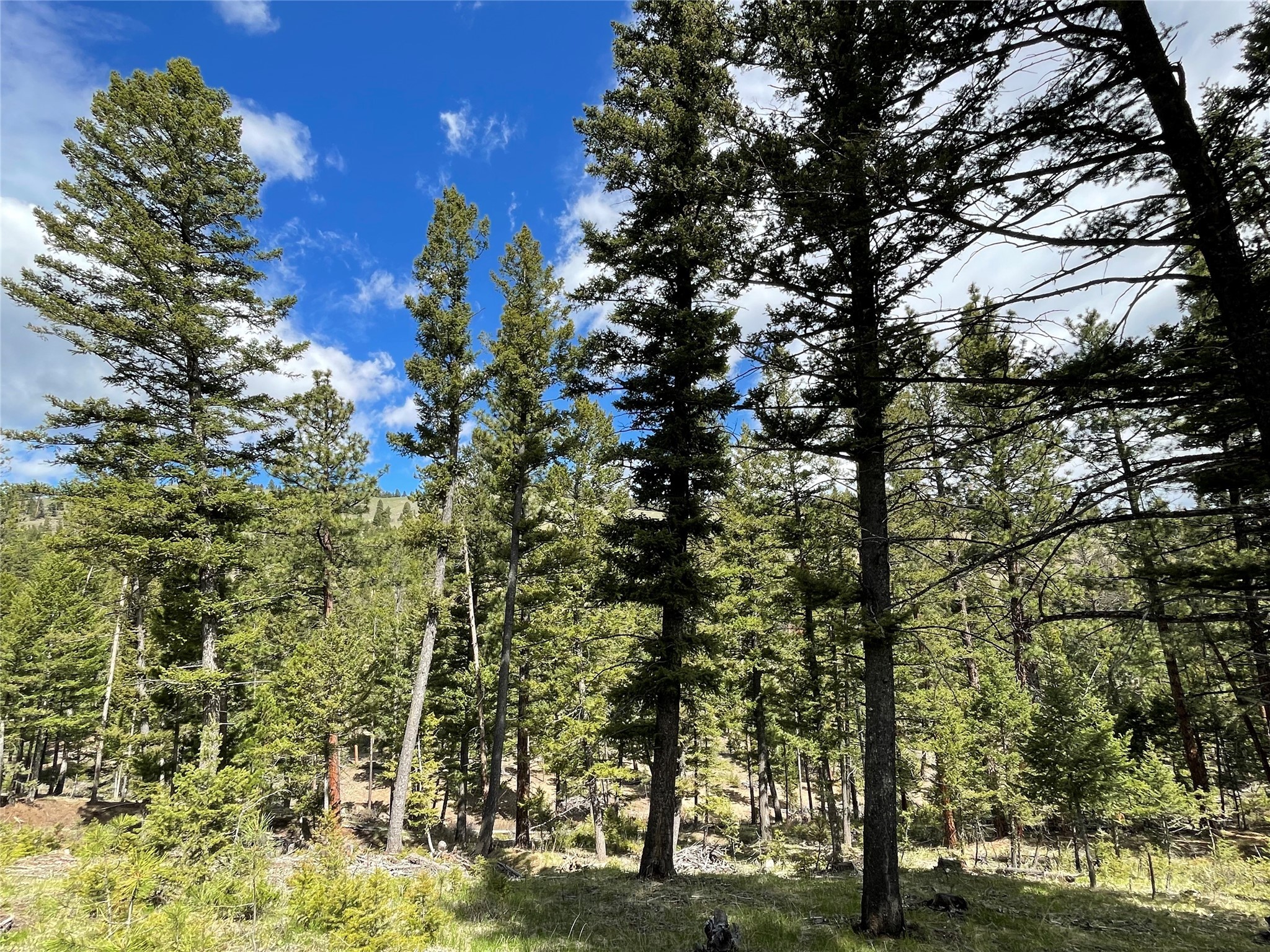 Helena, Montana 59601, United States, ,Land,Active,97214