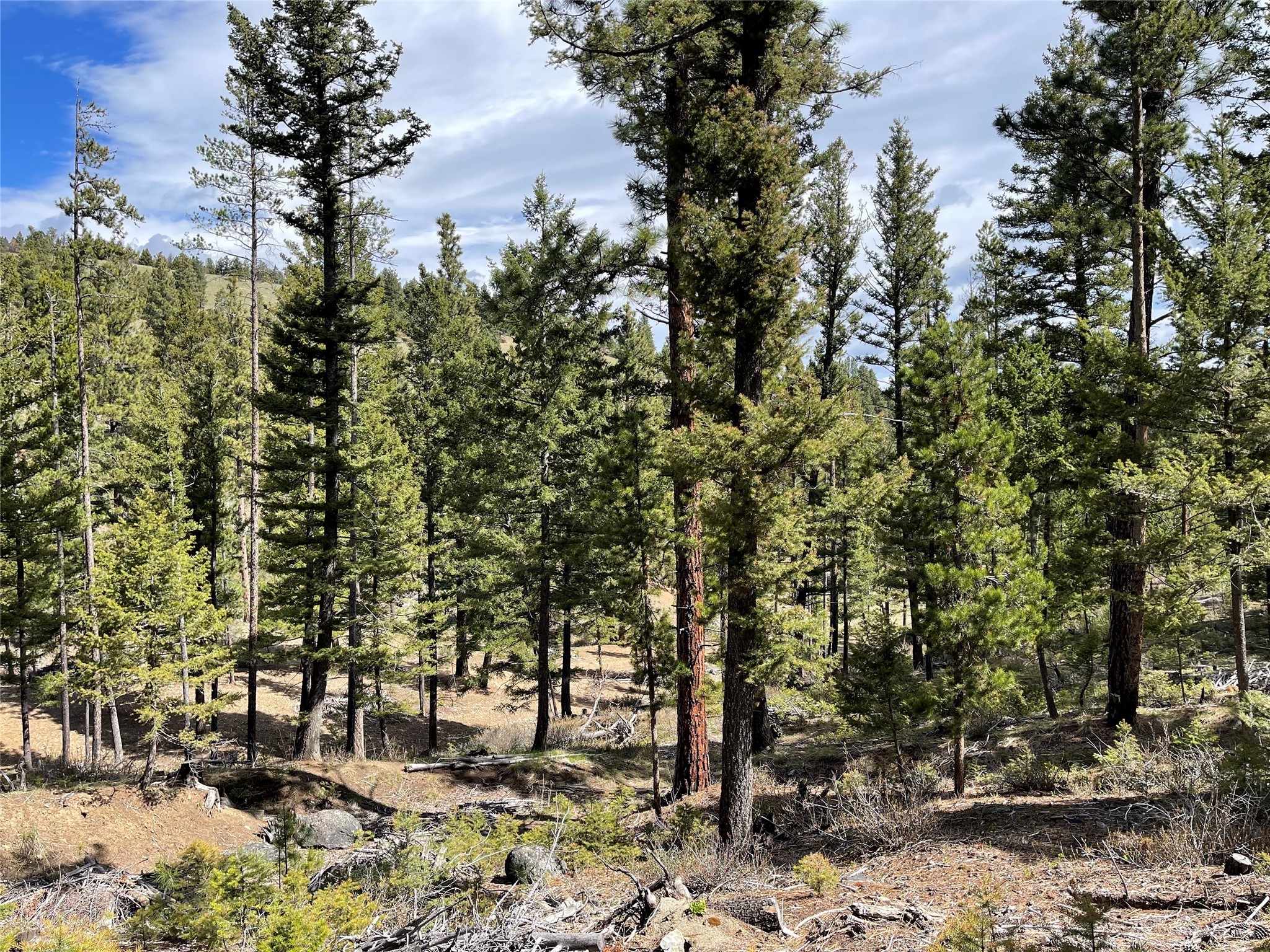 Helena, Montana 59601, United States, ,Land,Active,97214