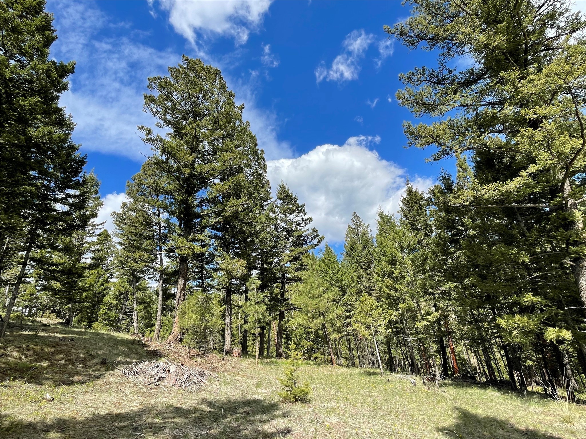 Helena, Montana 59601, United States, ,Land,Active,97214