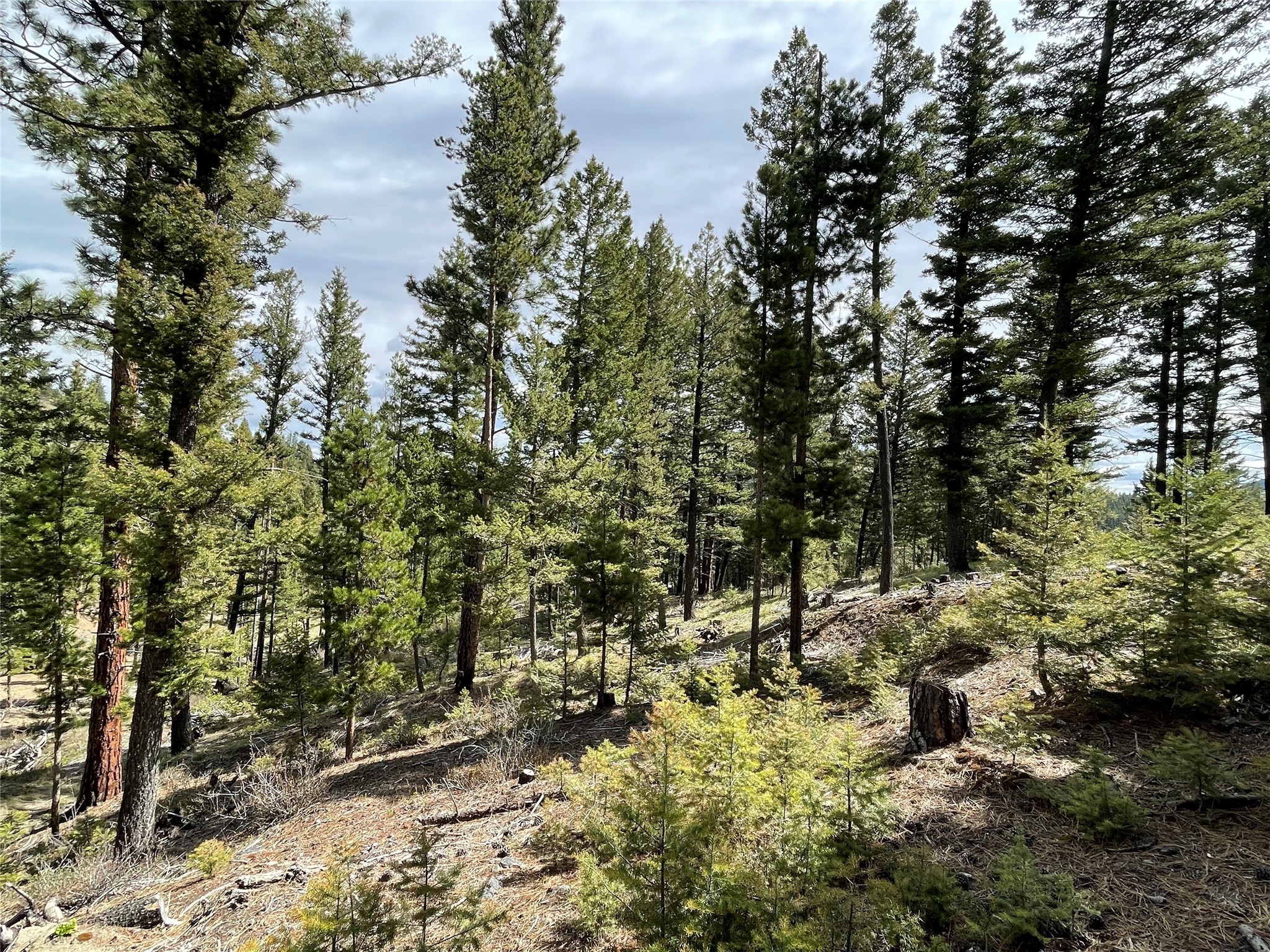 Helena, Montana 59601, United States, ,Land,Active,97214