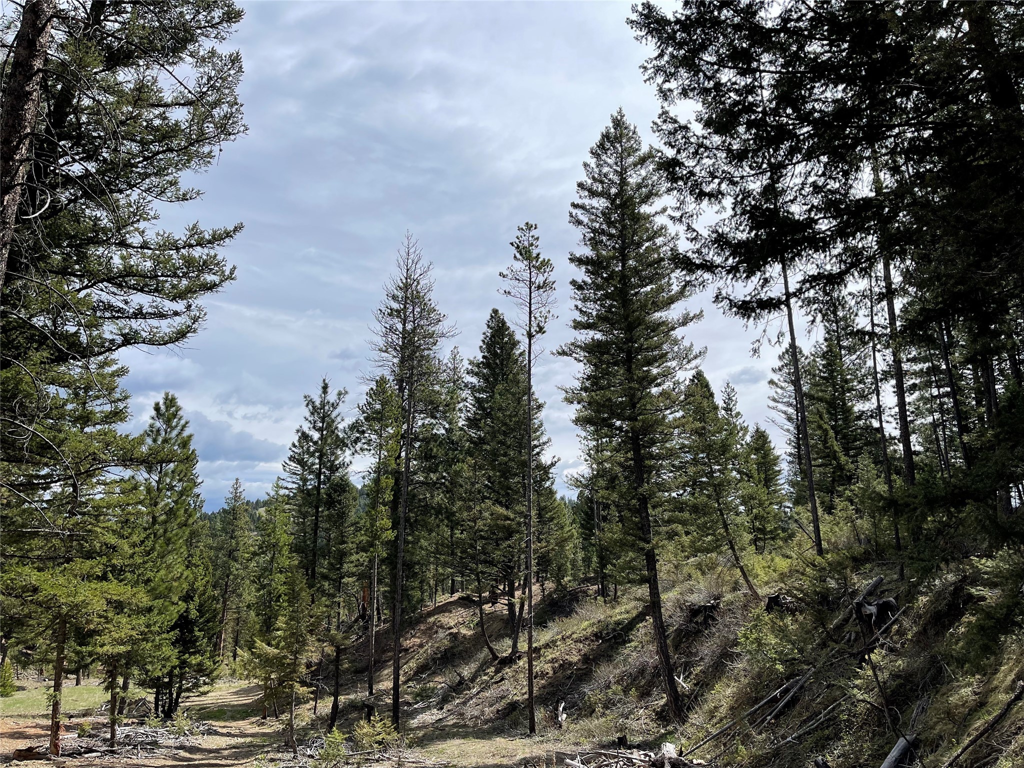 Helena, Montana 59601, United States, ,Land,Active,97214