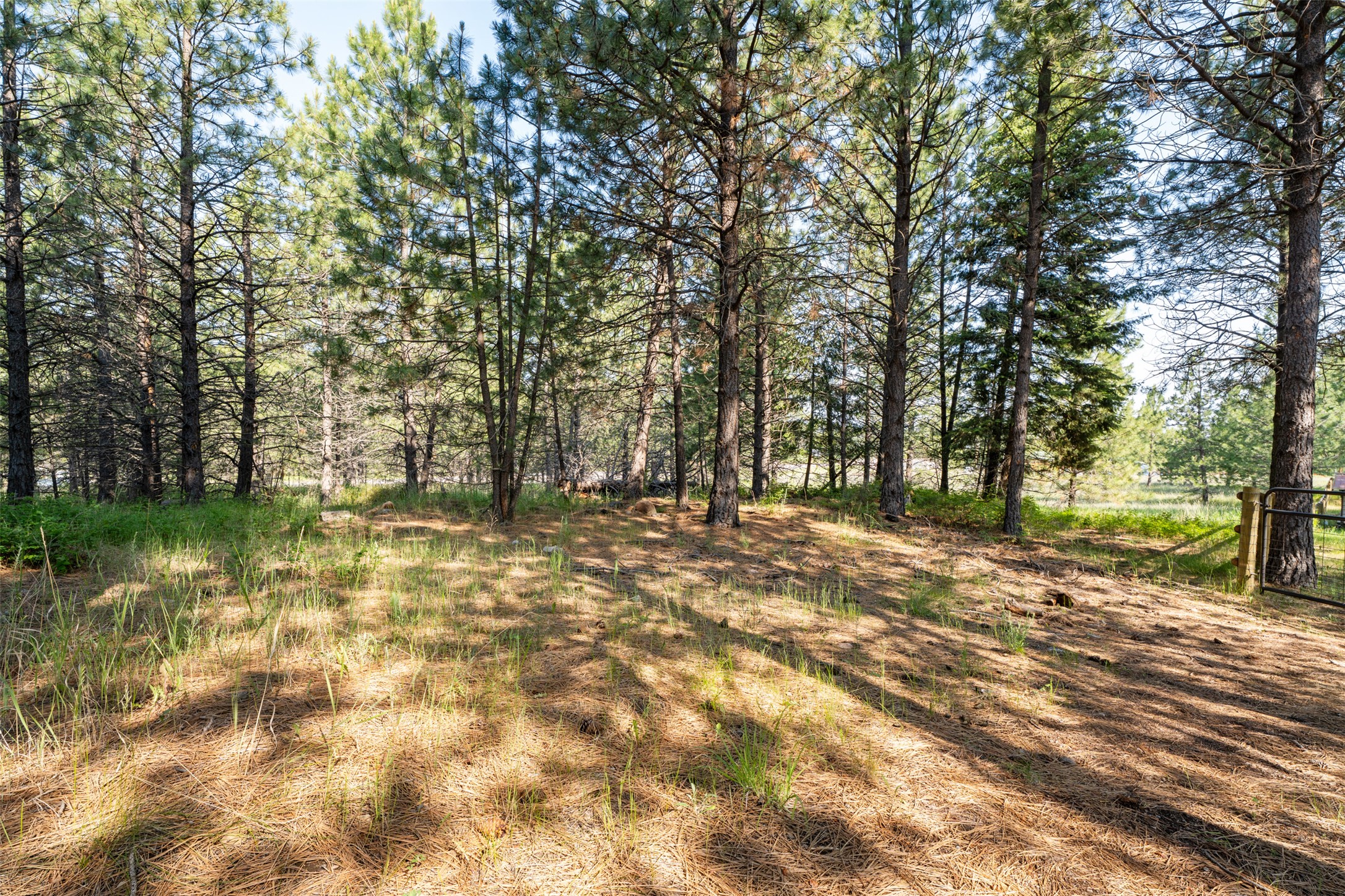 23400 Us Highway 93 N