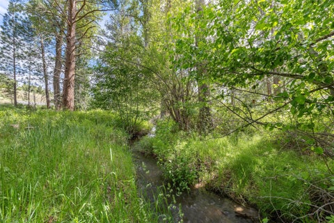 Tiny photo for 776 Heron Court, Stevensville, MT 59870 (MLS # 30073098)