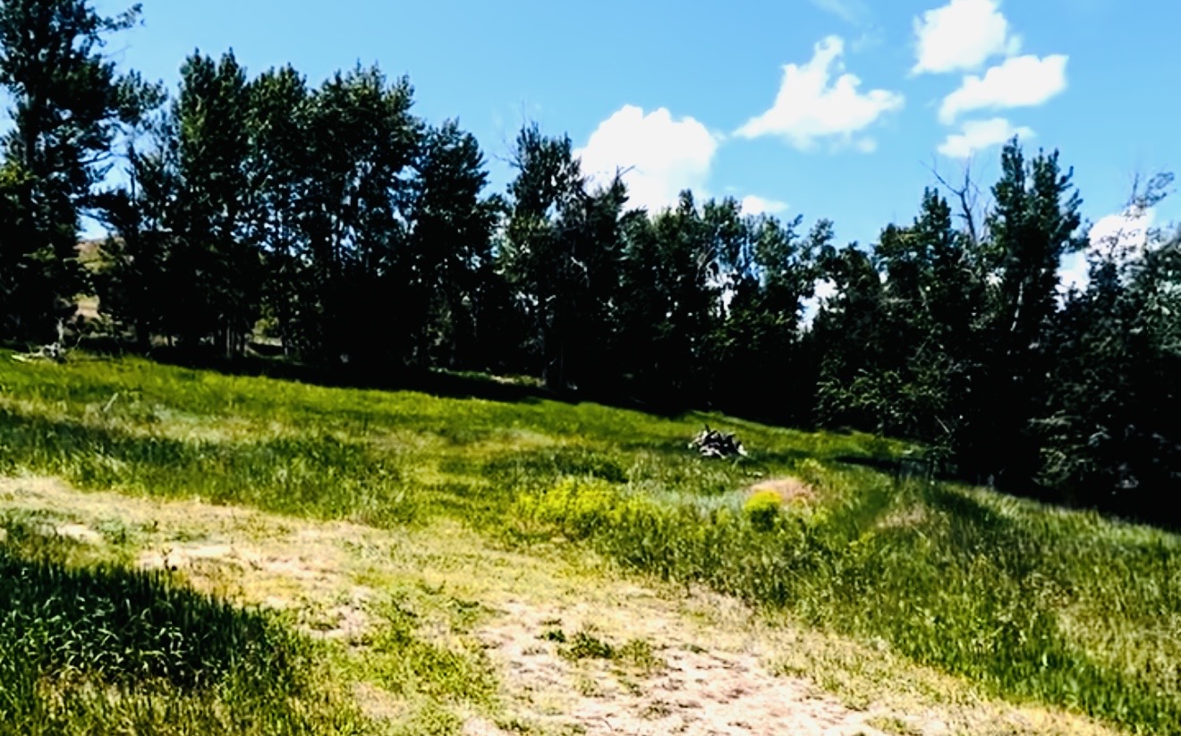 12326 Nature Court