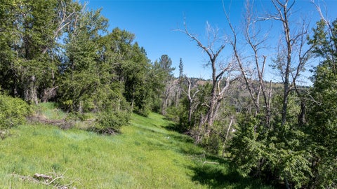 Tiny photo for 12326 Nature Court, Lolo, MT 59847 (MLS # 30071492)