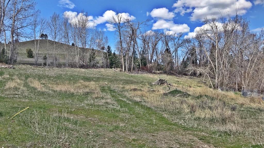 Photo of 12326 Nature Court, Lolo, MT 59847 (MLS # 30071492)