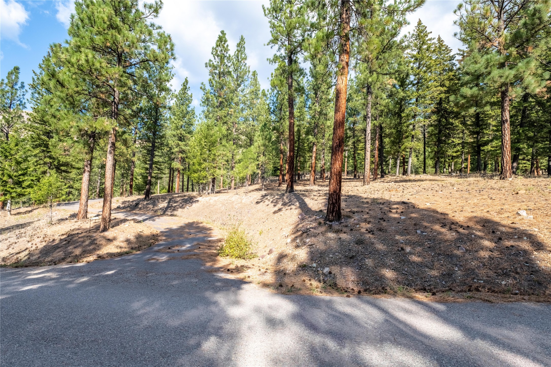 Lot 11 Stonefly Road